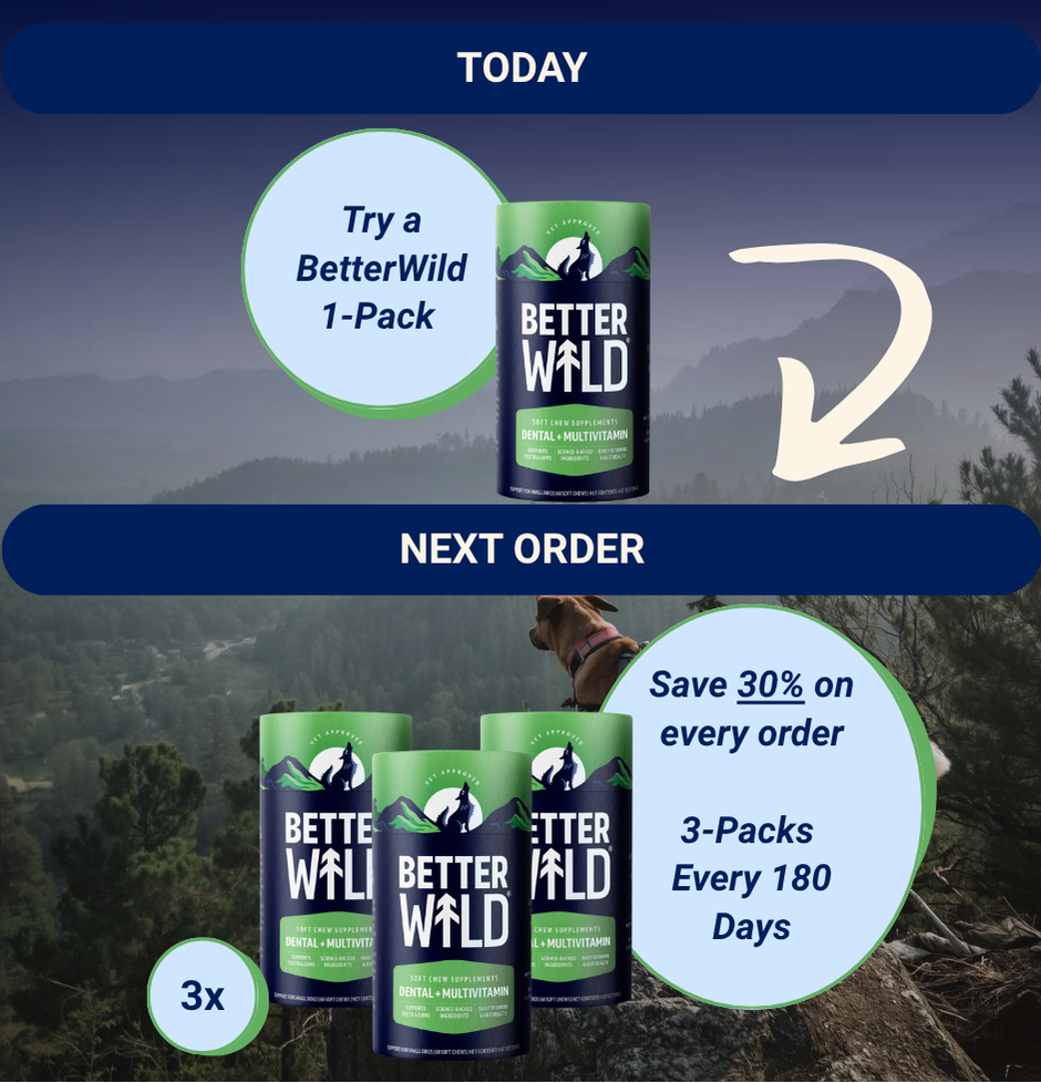 Dental - Upgrade to Quarterly on Next Order (1-Pack to 3-Pack 30%, 180 Days)