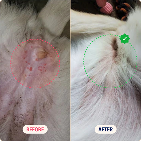 No Rough Side Effects. Just Natural, Gentle Support