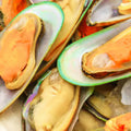 GREEN-LIPPED MUSSEL
