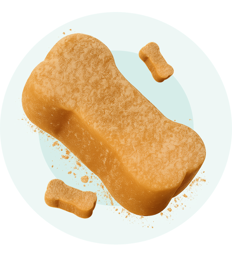 One Bone Broth-Flavored Supplement a Day. Dogs Think It's a Treat