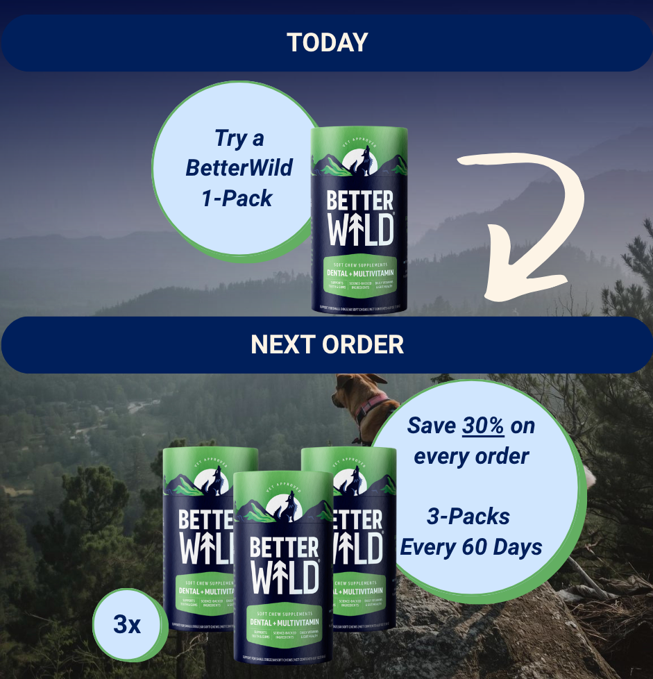 Dental - Upgrade to Quarterly on Next Order (1-Pack to 3-Pack 30%, 60 Days)