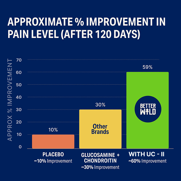Glucosamine Alone Isn't Enough. Here's Why Your Dog Is Still Limping