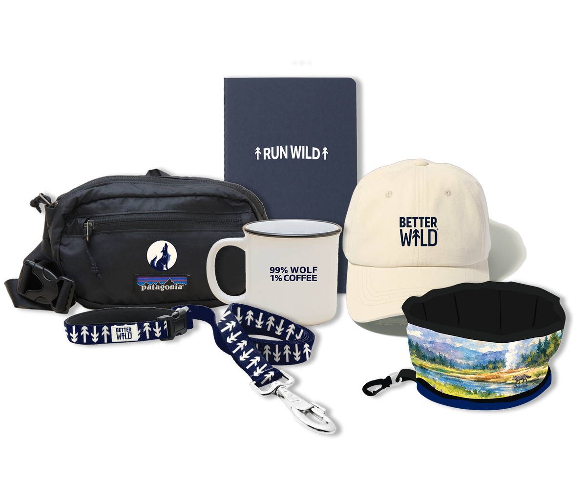 WINNERS ANNOUNCED MONTHLY
