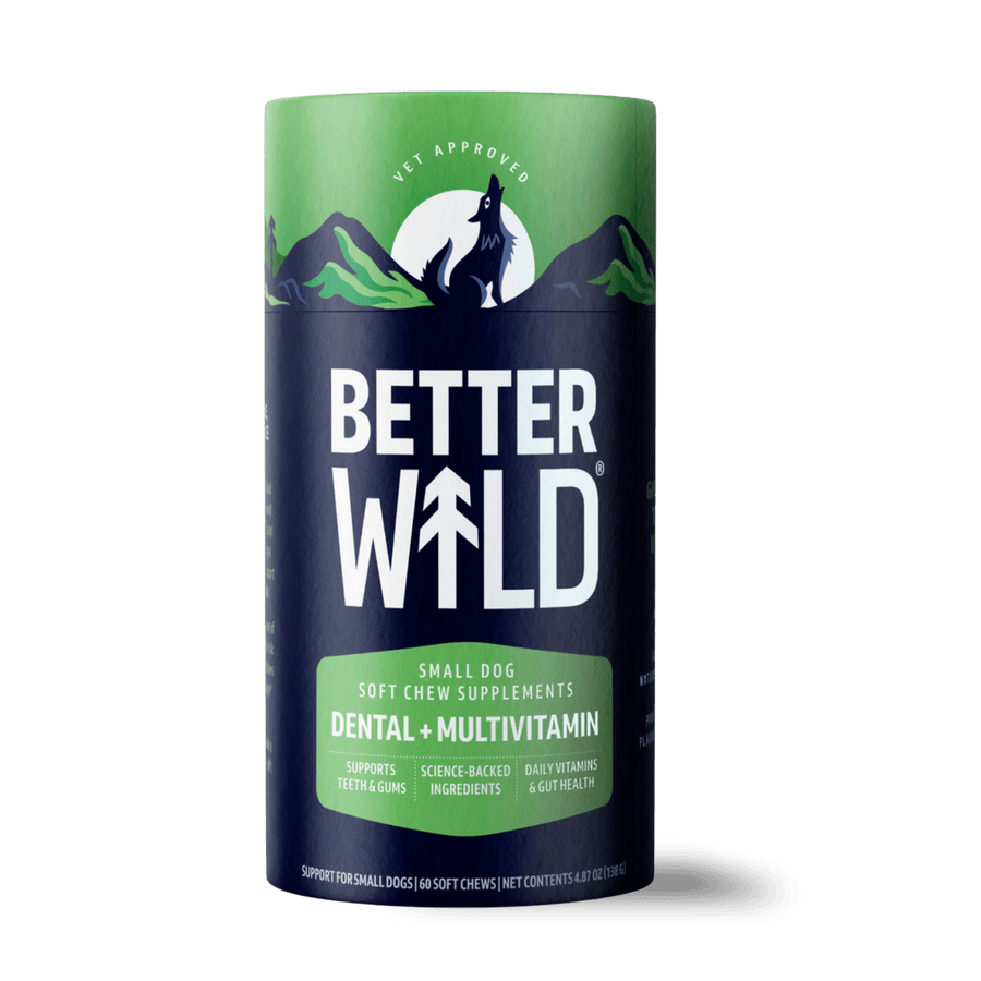 DENTAL + MULTIVITAMIN