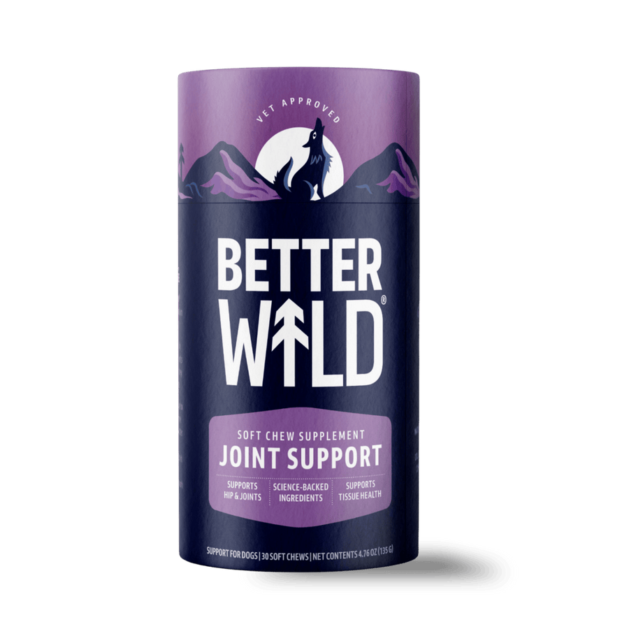 JOINT SUPPORT