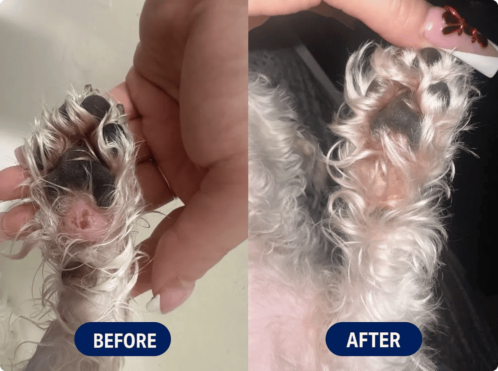 Side-by-side comparison of a dog's paw, labeled Before and After.