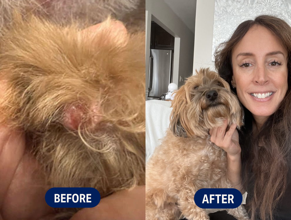 Before and after of Nicole’s dog