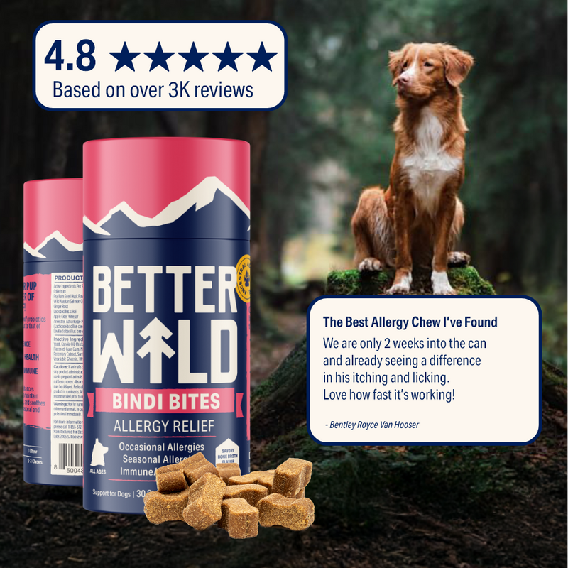 3,500+ Five-Star Reviews From Real Dog Parents